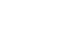 Internationales Management Studium logo